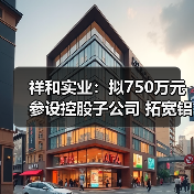 祥和实业:拟750万元参设控股子公司 拓宽铝电解电容器配件业务(图2) 祥和实业:拟750万元参设控股子公司 拓宽铝电解电容器配件业务(图2)