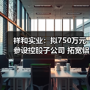 祥和实业:拟750万元参设控股子公司 拓宽铝电解电容器配件业务(图3) 祥和实业:拟750万元参设控股子公司 拓宽铝电解电容器配件业务(图3)