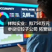 祥和实业:拟750万元参设控股子公司 拓宽铝电解电容器配件业务(图4) 祥和实业:拟750万元参设控股子公司 拓宽铝电解电容器配件业务(图4)