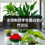 永鼎和顺丰签署战略合作协议(图1) 永鼎和顺丰签署战略合作协议(图1)