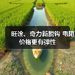 旺诠、奇力新脱钩 电阻价格更有弹性(图4) 旺诠、奇力新脱钩 电阻价格更有弹性(图4)