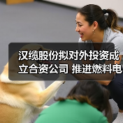 汉缆股份拟对外投资成立合资公司 推进燃料电池关键核心技术研发及产业化(图4) 汉缆股份拟对外投资成立合资公司 推进燃料电池关键核心技术研发及产业化(图4)