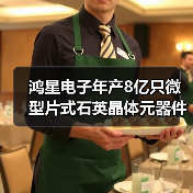 鸿星电子年产8亿只微型片式石英晶体元器件项目开工（图4）