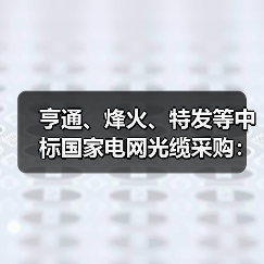 亨通、烽火、特发等中标国家电网光缆采购:总金额达44亿元(图3) 亨通、烽火、特发等中标国家电网光缆采购:总金额达44亿元(图3)