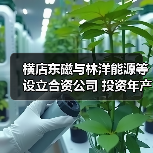 横店东磁与林洋能源等设立合资公司 投资年产2GW高效组件项目（图4）
