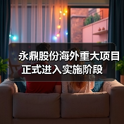永鼎股份海外重大项目正式进入实施阶段（图2）